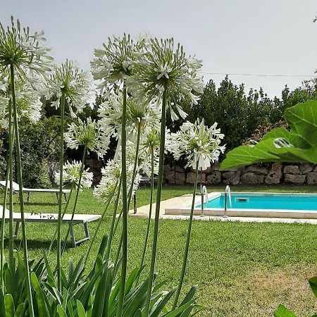B&B Masseria Sant'Angelo Antonelli Eksteriør billede