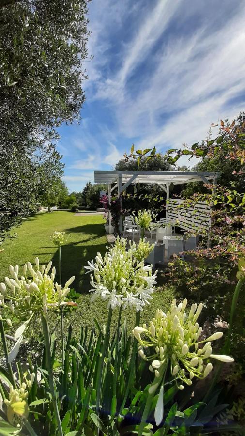 B&B Masseria Sant'Angelo Antonelli Eksteriør billede